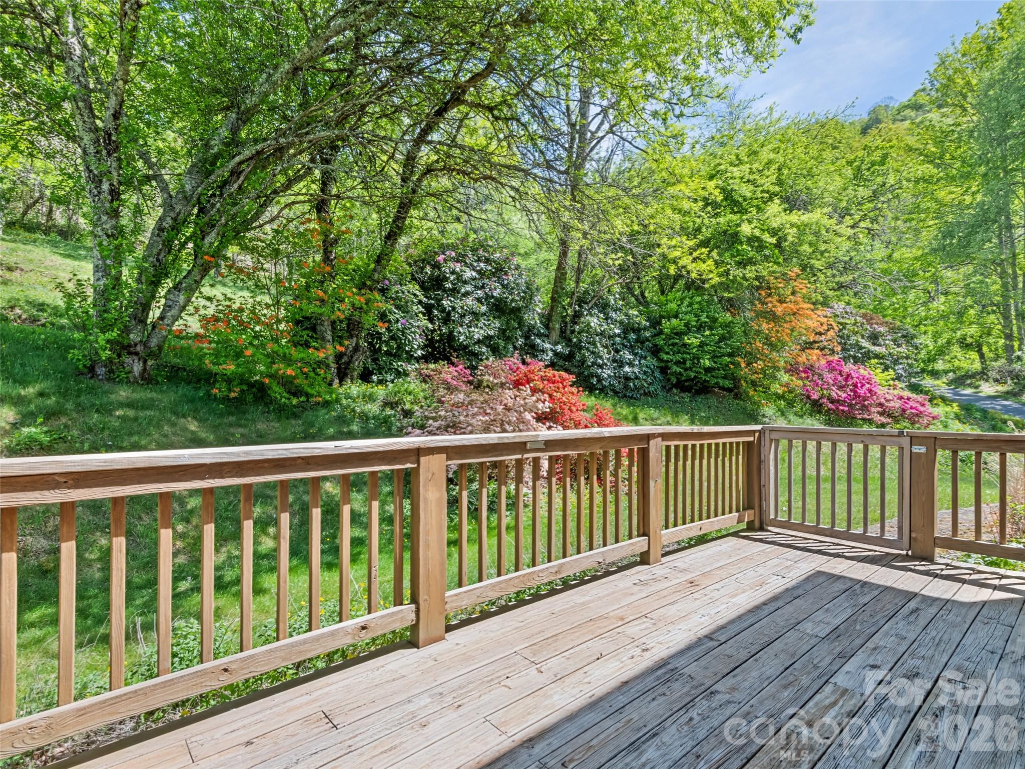831 Red Bank Road Waynesville, NC 28786 - Photo 35 of 46
