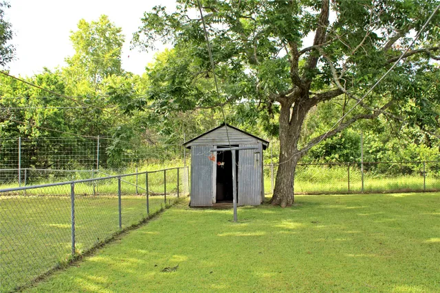 a view of a garden with a tree