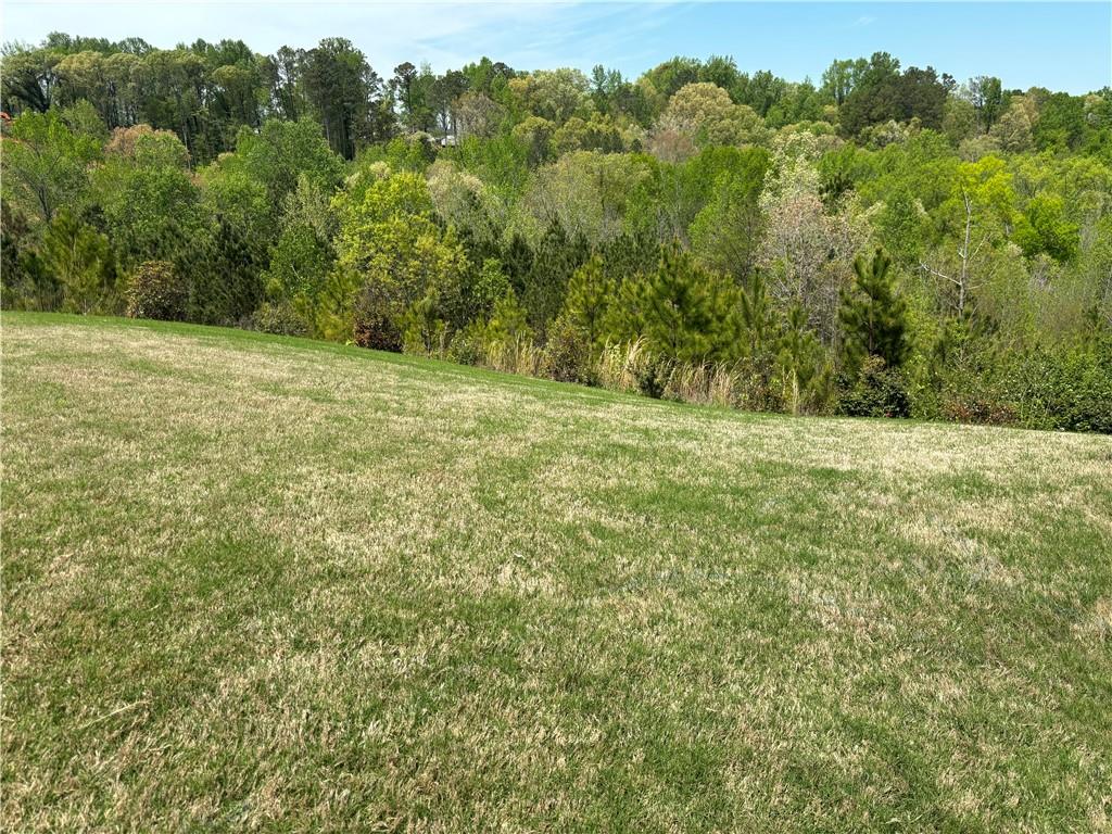 a view of a field with a tree in the background