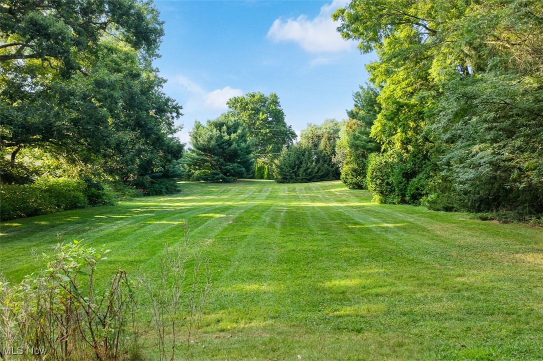256 Everhard Road Southwest North Canton, OH 44709 - Photo 41 of 45 View of green lawn with view of wooded area