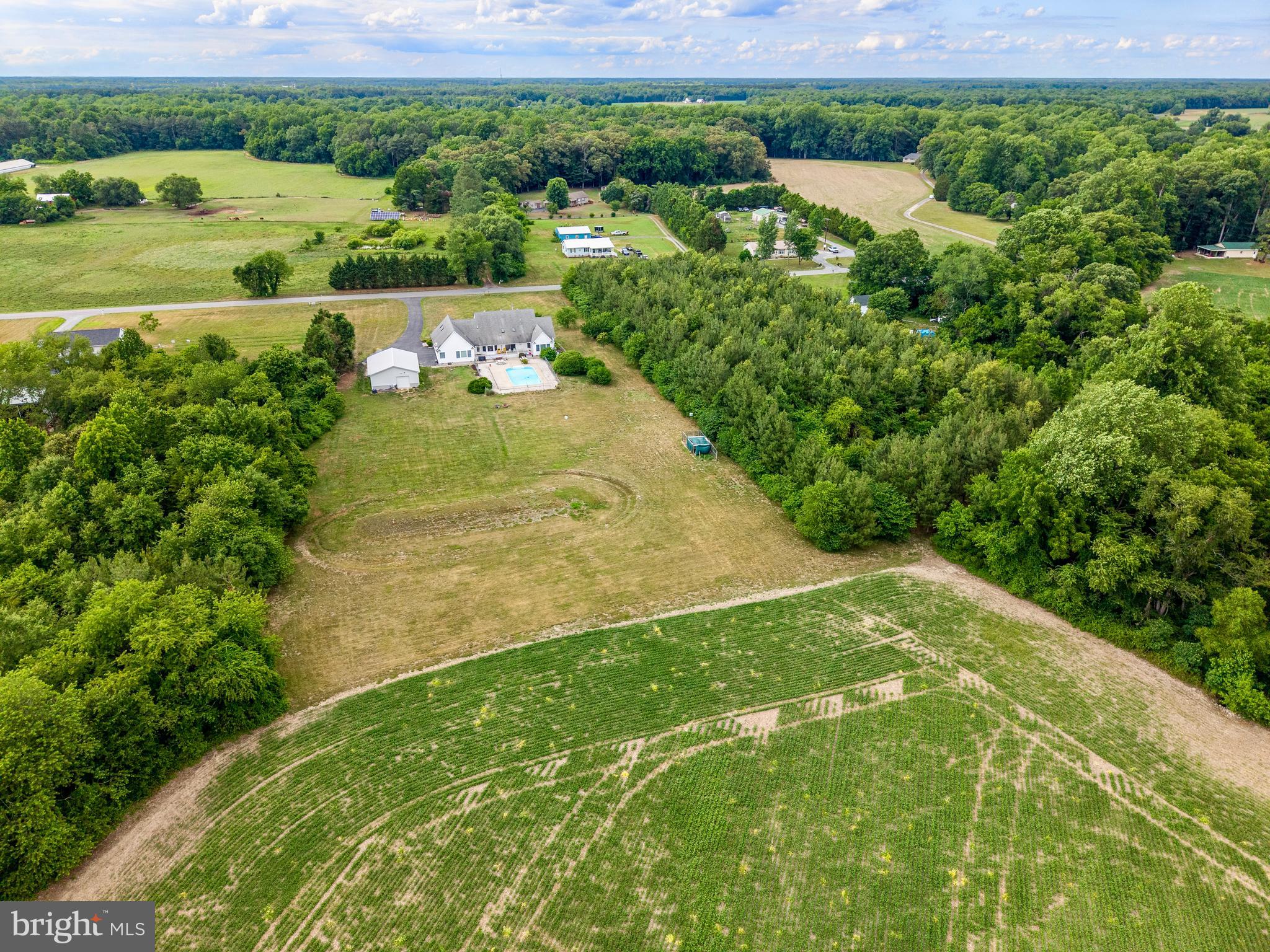 26927 Boyce Mill Road Greensboro, MD 21639 - Photo 56 of 61