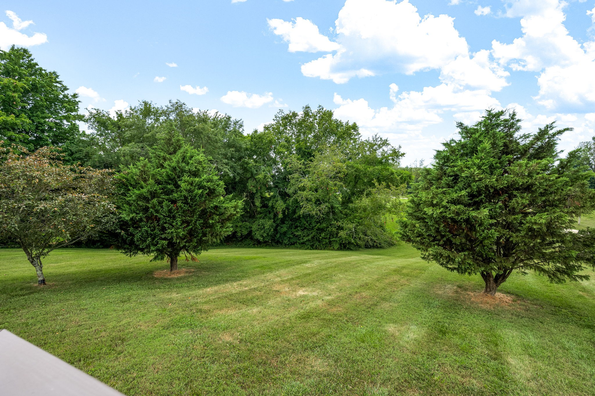 24 Shady Grove Cemetery Road Flintville, TN 37335 - Photo 33 of 40 a view of a trees with a yard