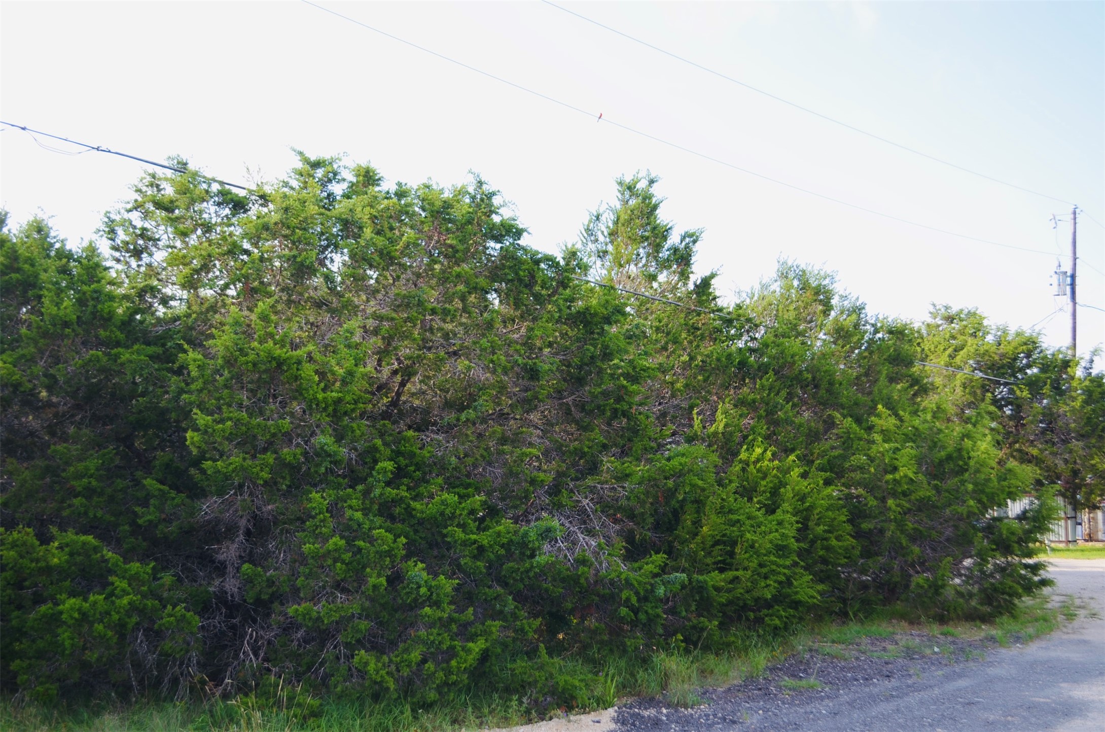 419 Thunderhead Drive Spring Branch, TX 78070 - Photo 1 of 1