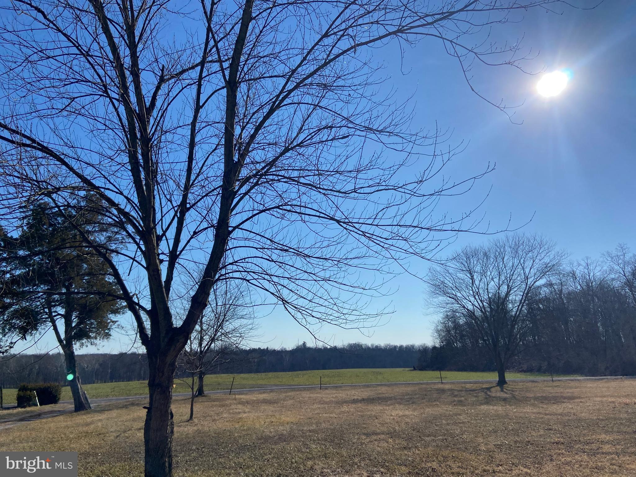 12550 Shoemaker Road Taneytown, MD 21787 - Photo 25 of 30 a view of tree next to a yard
