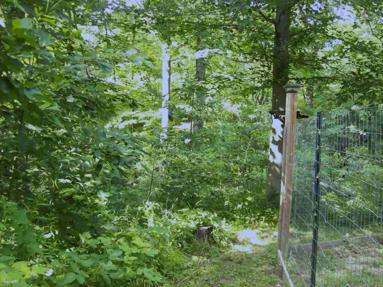 2969 South Coffing Brothers Road Covington, IN 47932 - Photo 23 of 30