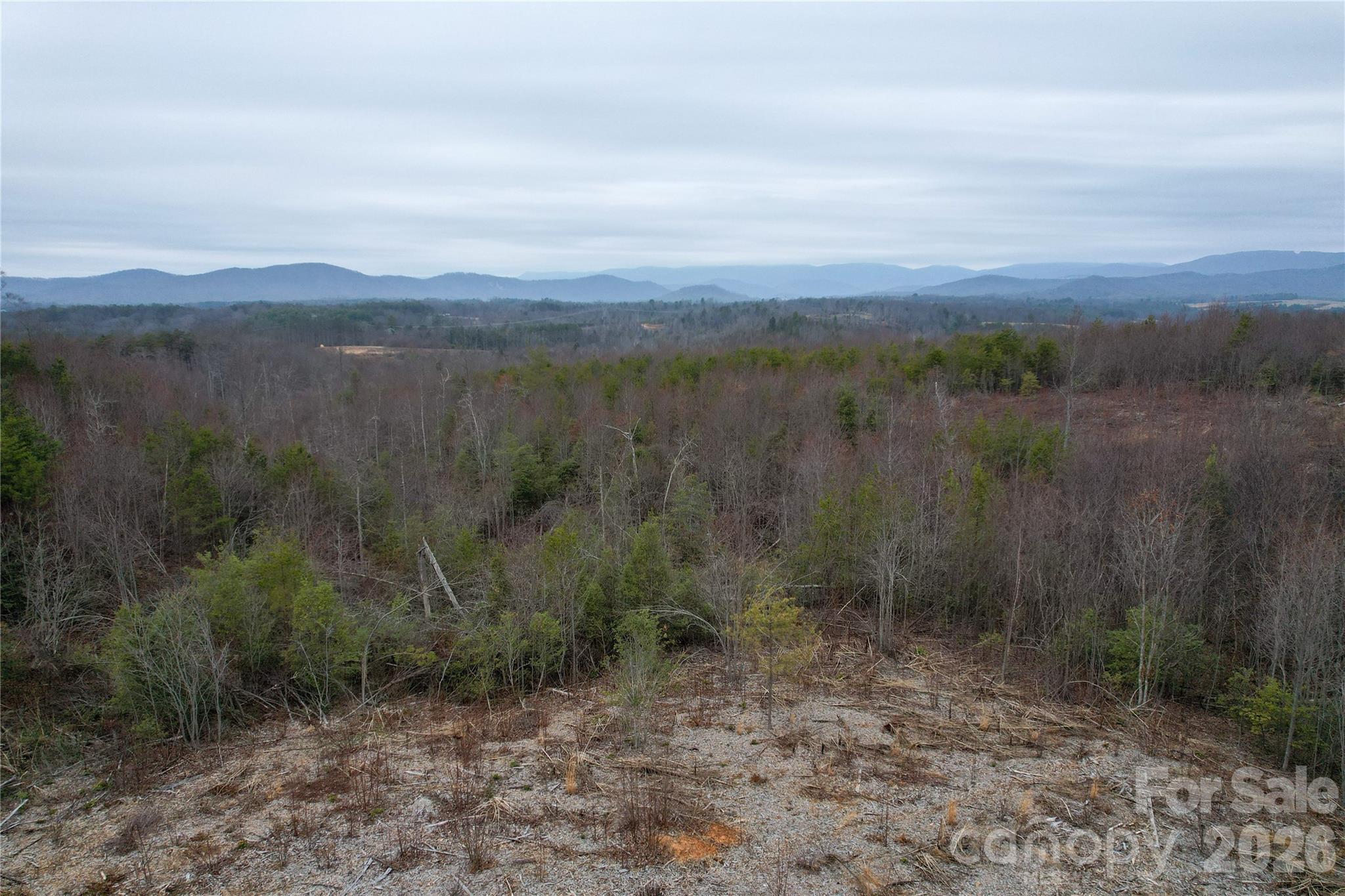 0 Baugess Mill Road Traphill, NC 28685 - Photo 12 of 29