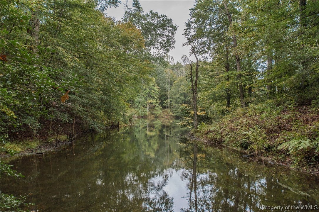 2738 Lees Neck Farm Road Saluda, VA 23149 - Photo 12 of 32 Gallery Image 12