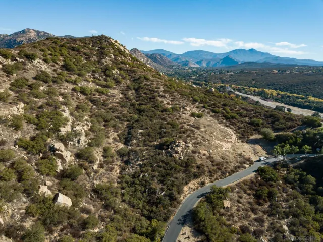 a view of a forest with a mountain