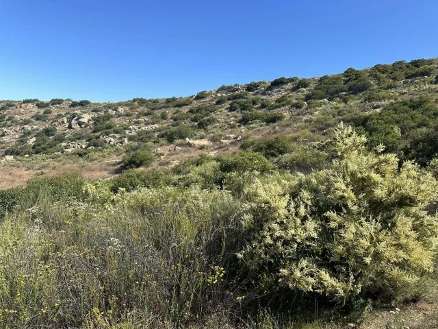 a view of a houses with a mountain in the background
