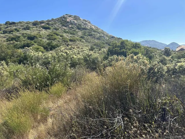 a view of a dry yard next to a building