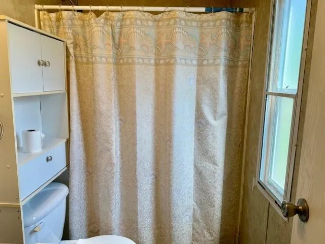 a view of backyard with green space