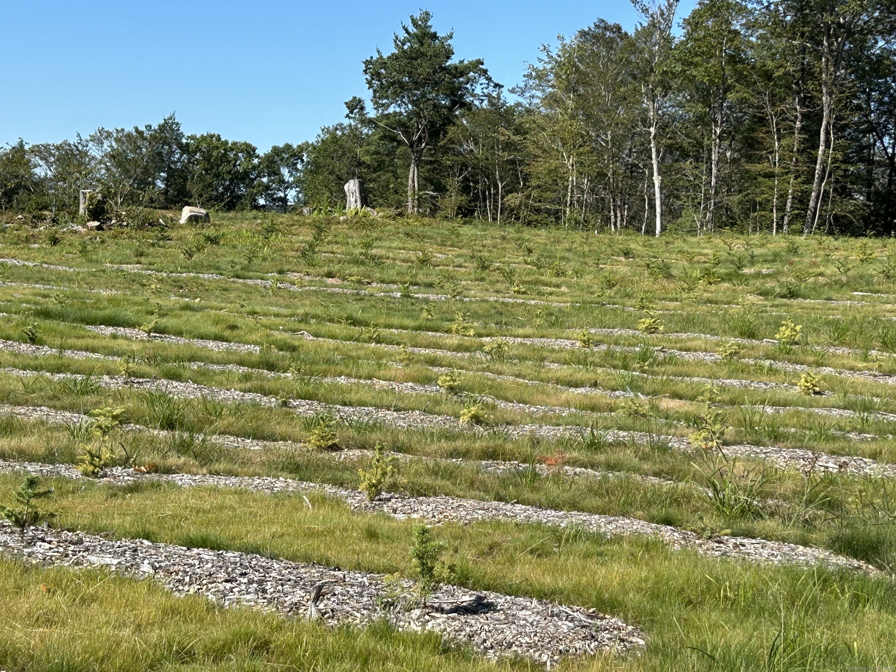 0 Prock Hill Road Colebrook, CT 06021 - Photo 12 of 29 a view of a golf course with green space