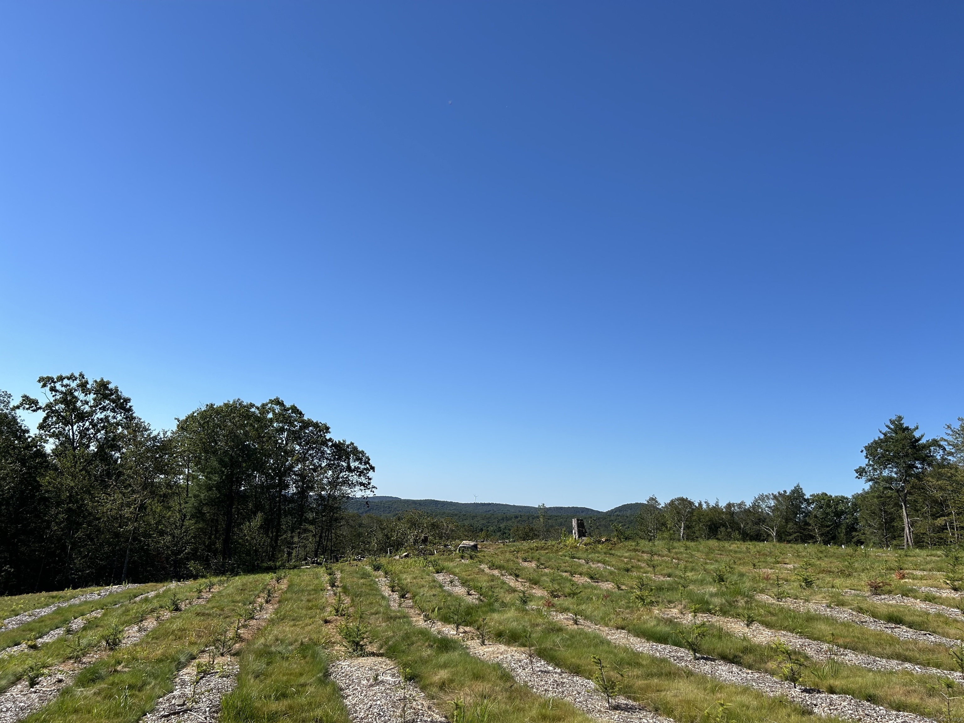 0 Prock Hill Road Colebrook, CT 06021 - Photo 13 of 29 a view of lake with green space