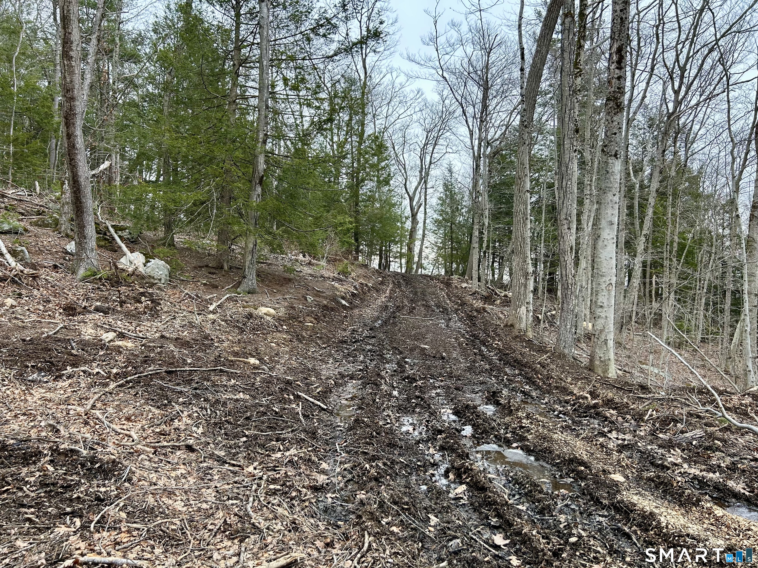 0 Prock Hill Road Colebrook, CT 06021 - Photo 16 of 29 a view of a forest with trees in the background