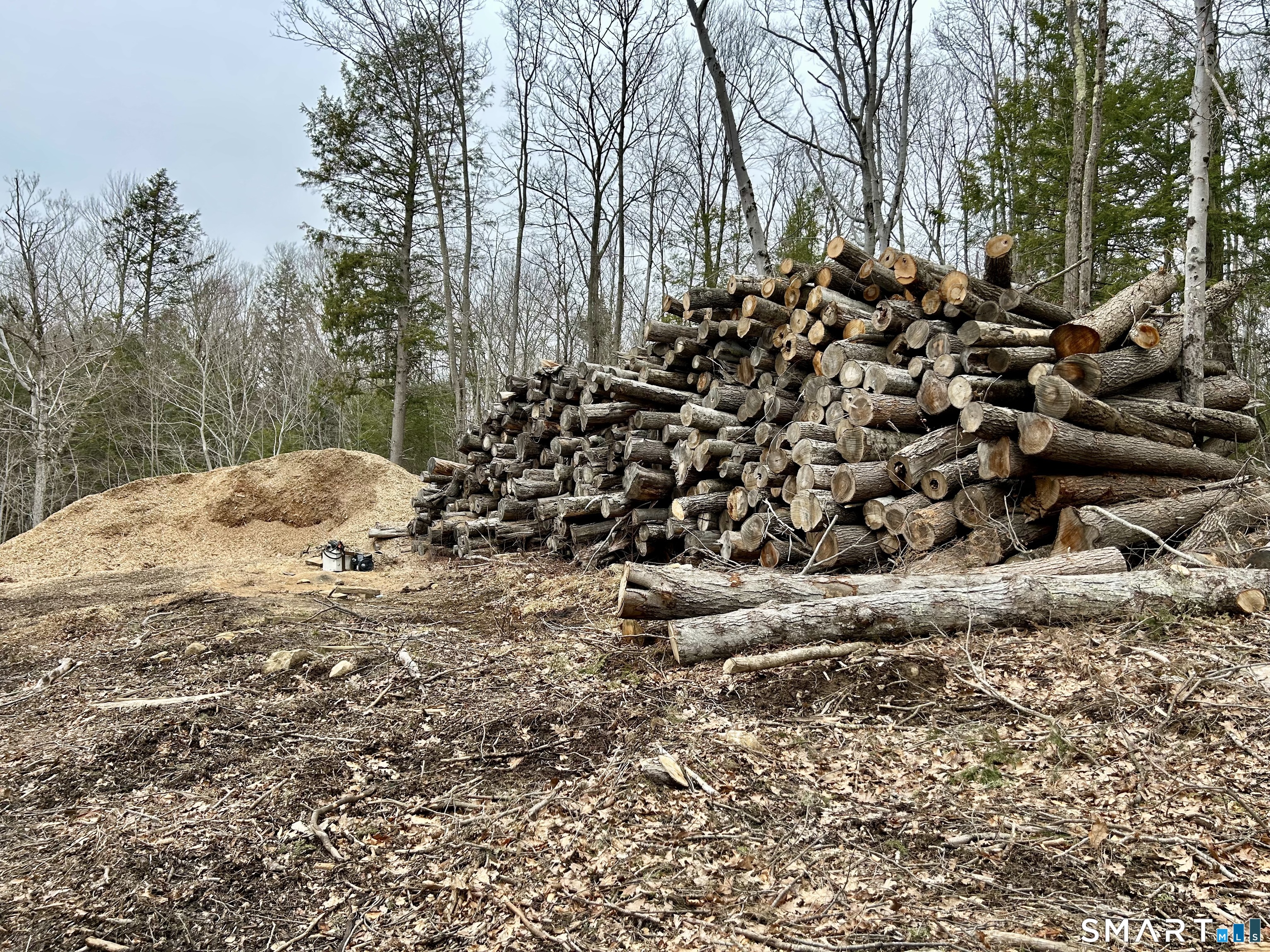 0 Prock Hill Road Colebrook, CT 06021 - Photo 17 of 29 a view of a yard
