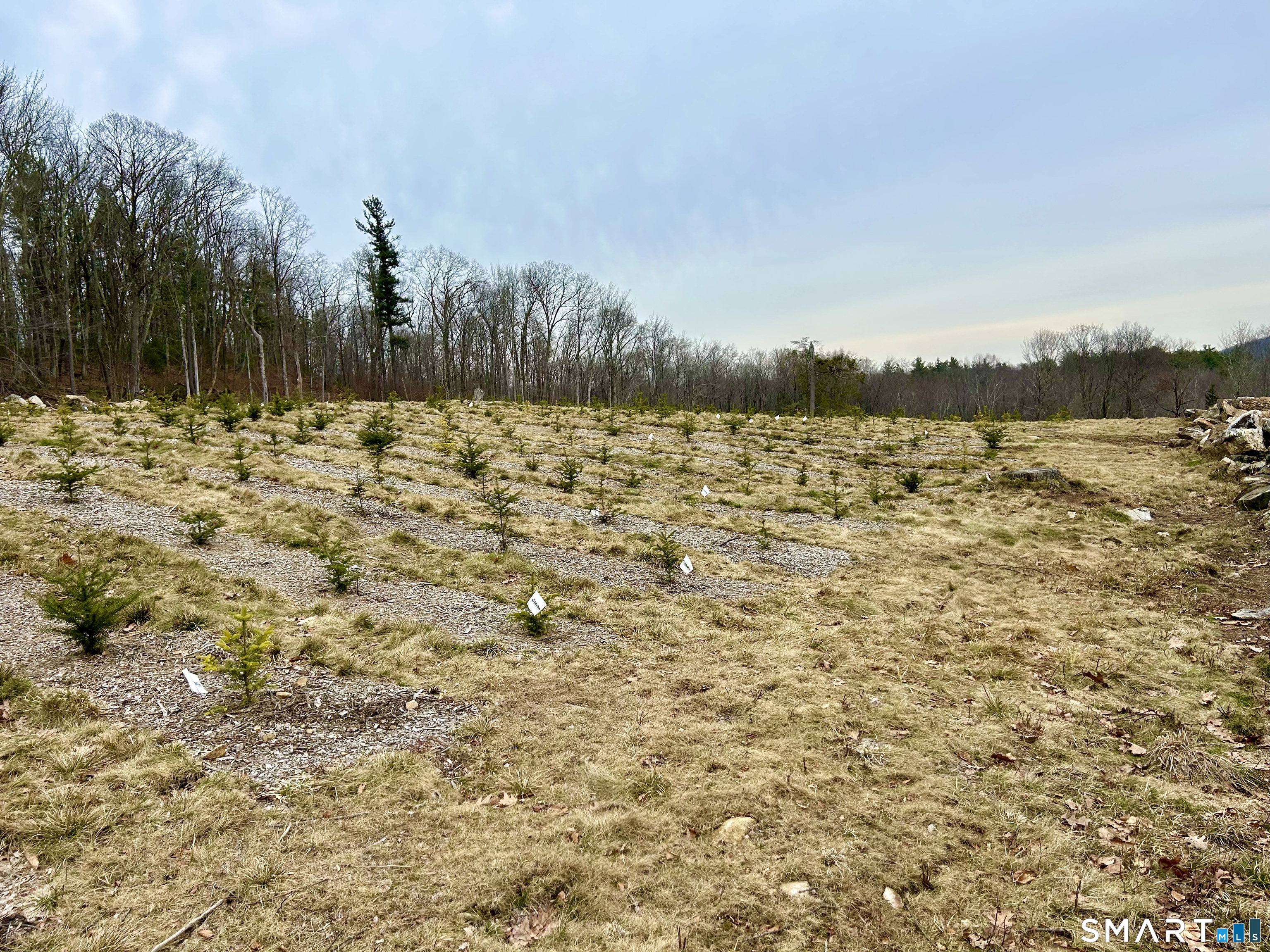 0 Prock Hill Road Colebrook, CT 06021 - Photo 20 of 29 a view of lake