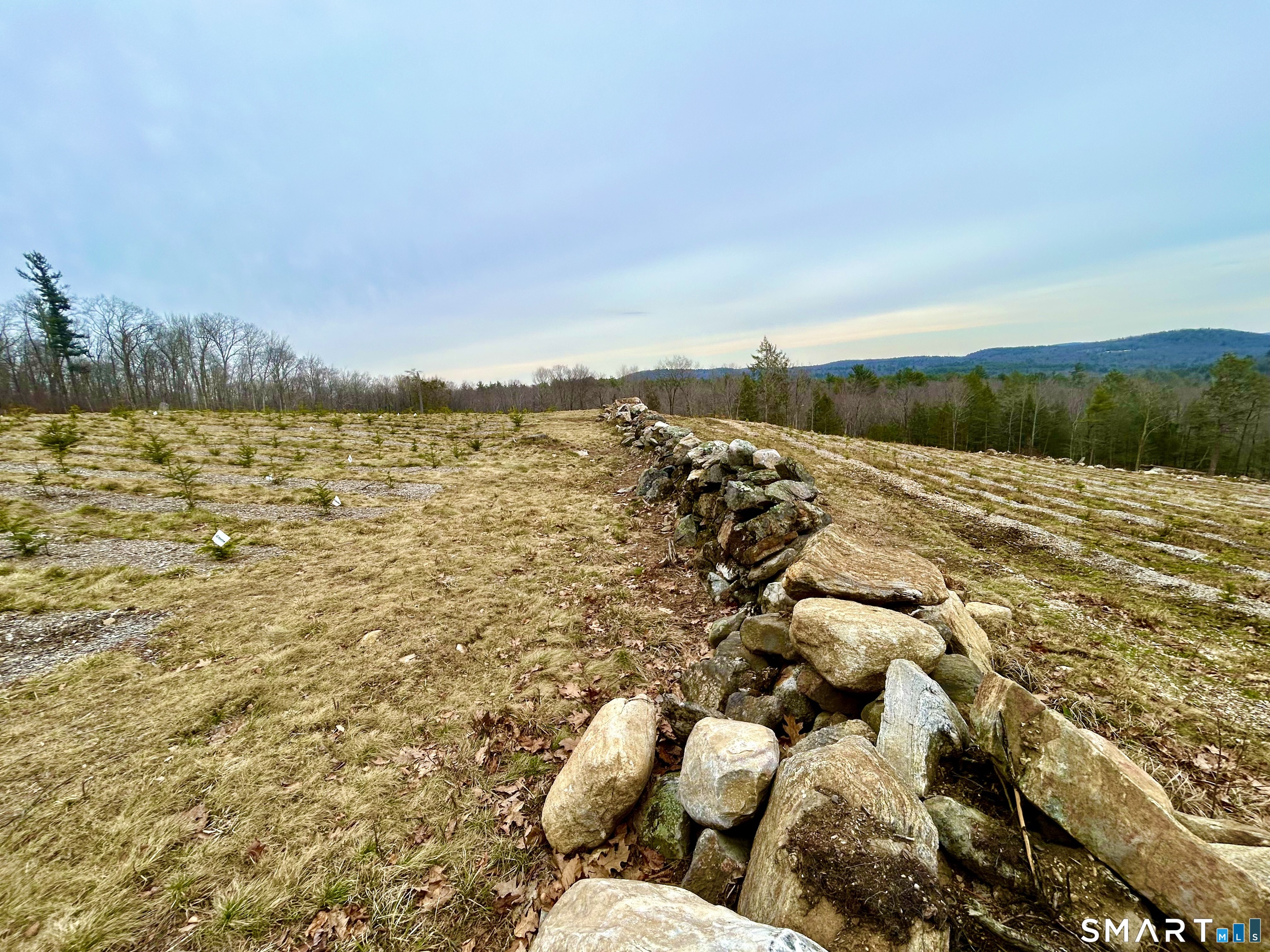 0 Prock Hill Road Colebrook, CT 06021 - Photo 21 of 29
