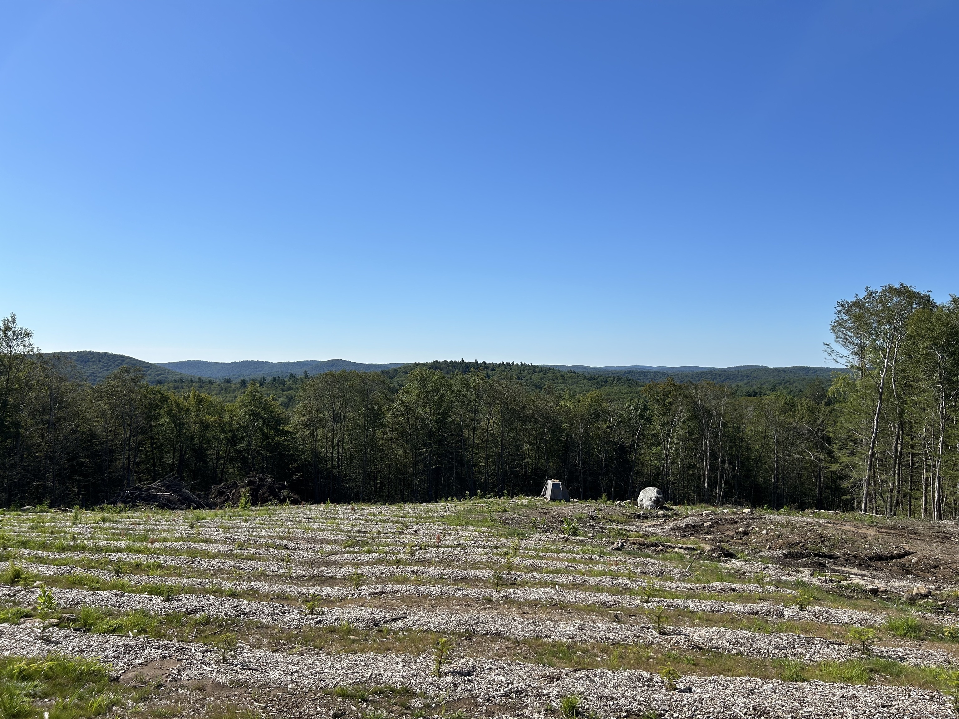 0 Prock Hill Road Colebrook, CT 06021 - Photo 4 of 29 a view of a yard