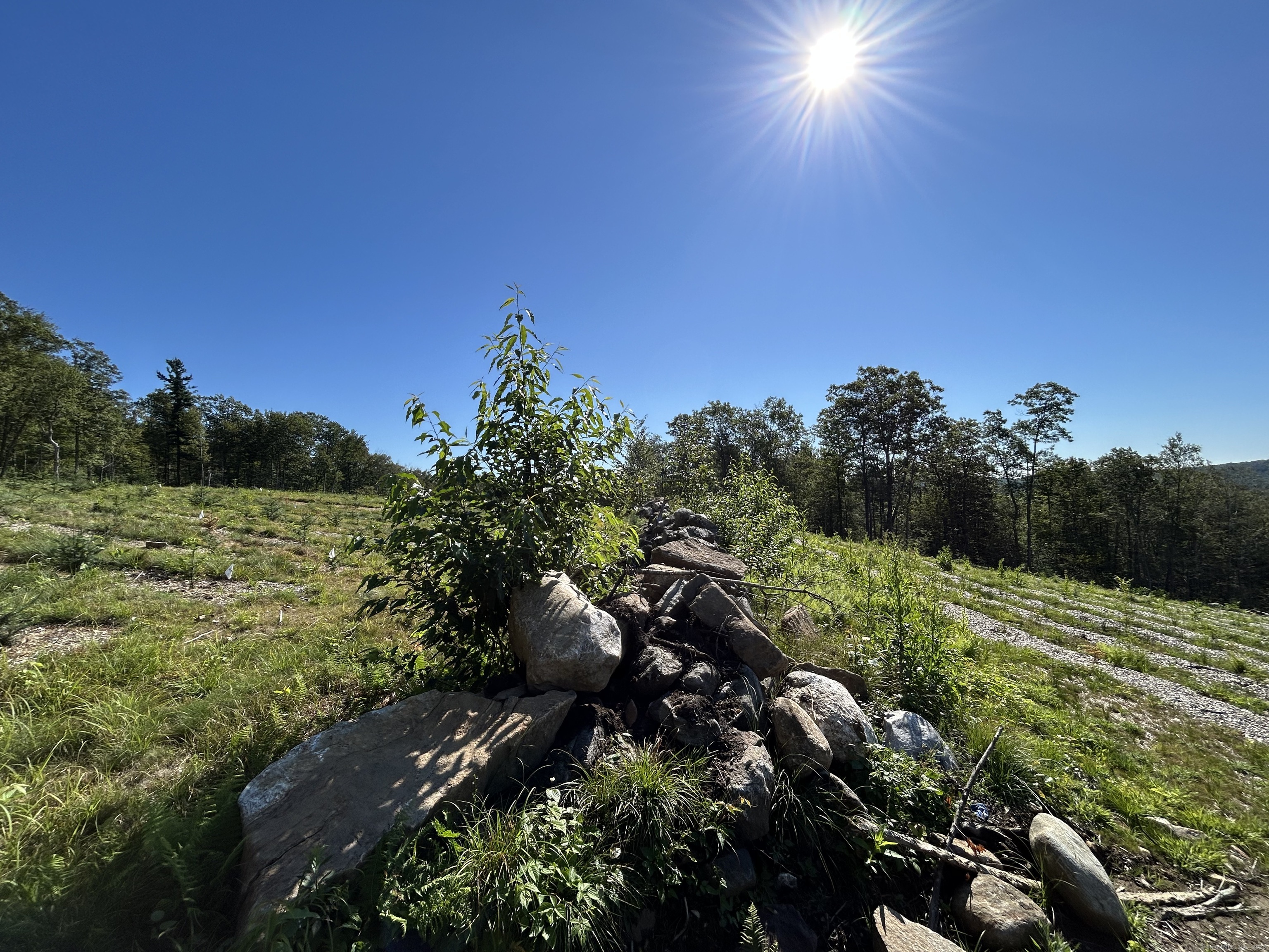 0 Prock Hill Road Colebrook, CT 06021 - Photo 5 of 29 a view of a garden with a house