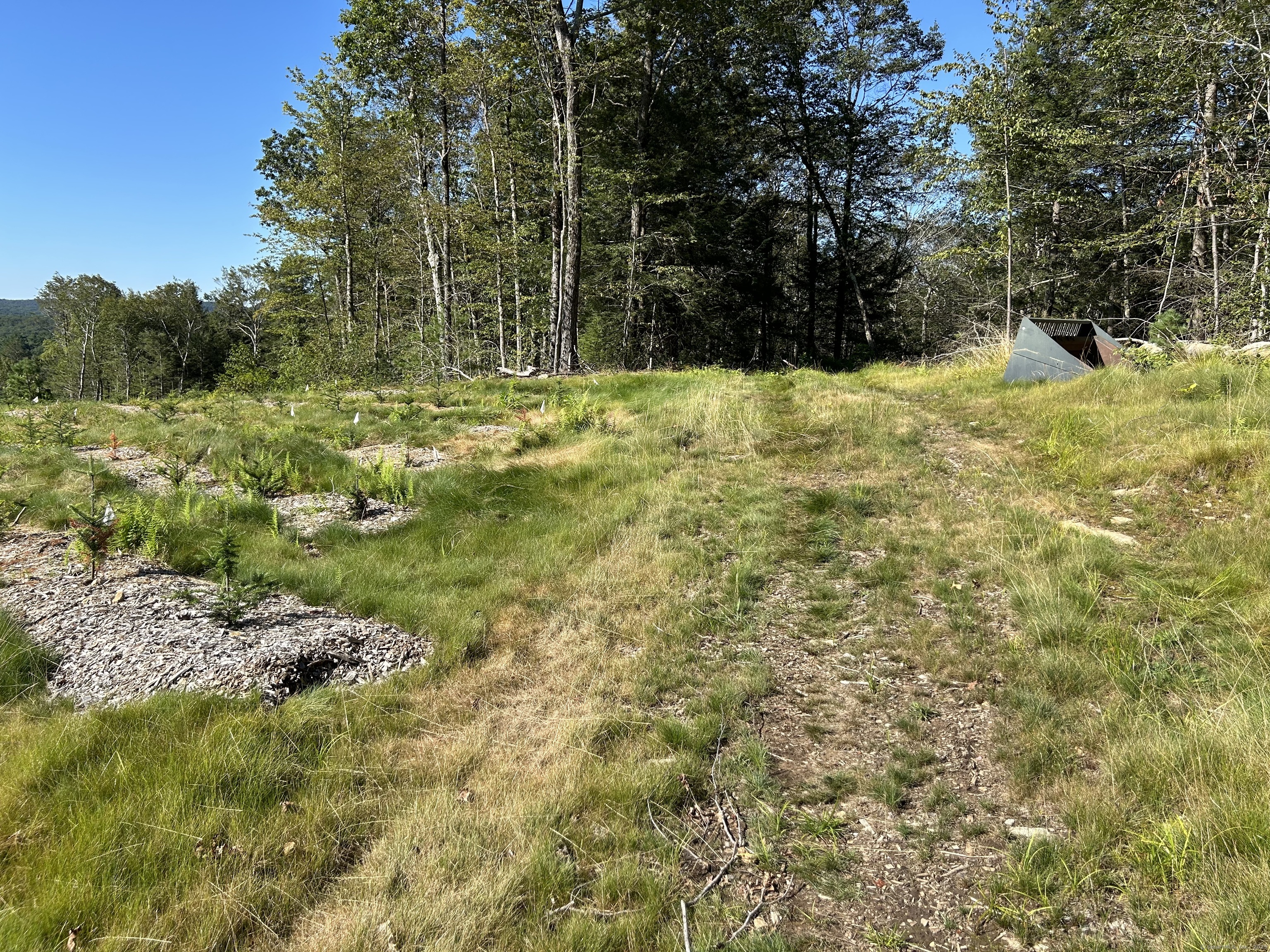 0 Prock Hill Road Colebrook, CT 06021 - Photo 7 of 29 a view of a yard with large trees