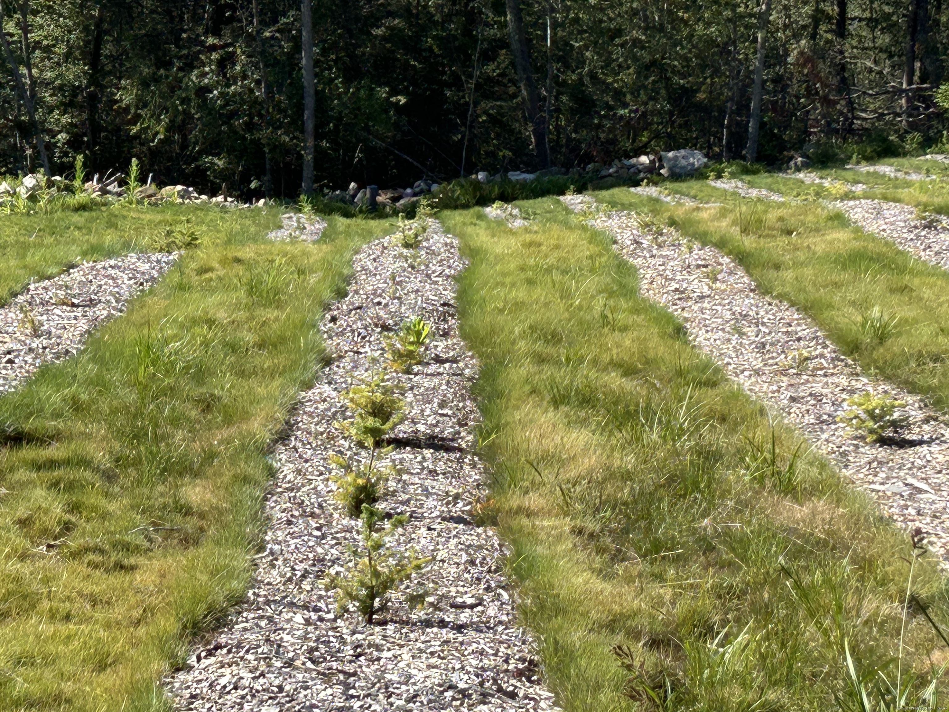 0 Prock Hill Road Colebrook, CT 06021 - Photo 9 of 29 a view of yard with green space