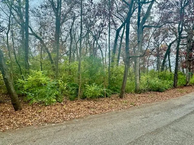 a pathway of a forest