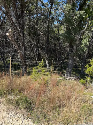 a view of yard with green space