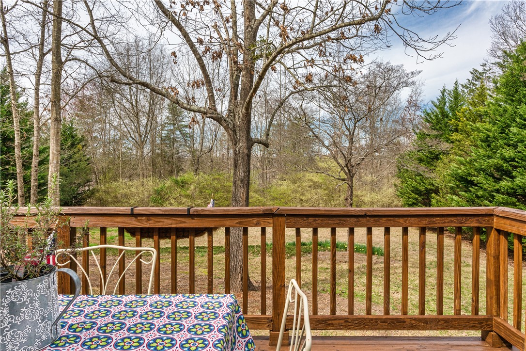 519 Ivy Spring Court Seneca, SC 29678 - Photo 45 of 49 Gallery Image 45