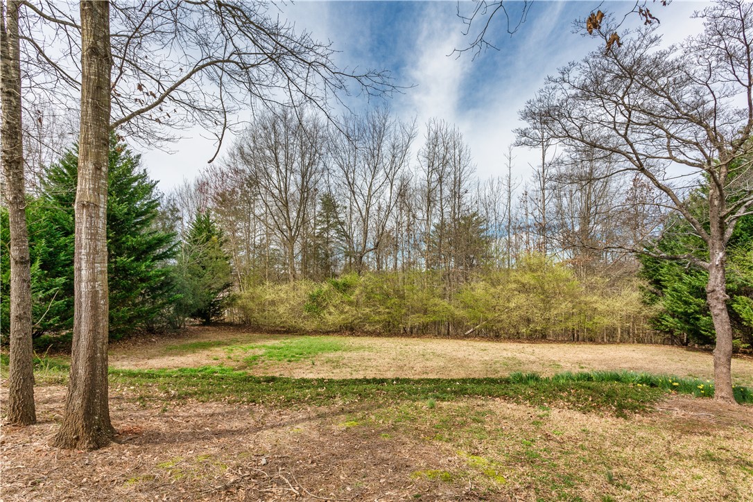 519 Ivy Spring Court Seneca, SC 29678 - Photo 46 of 49 Gallery Image 46