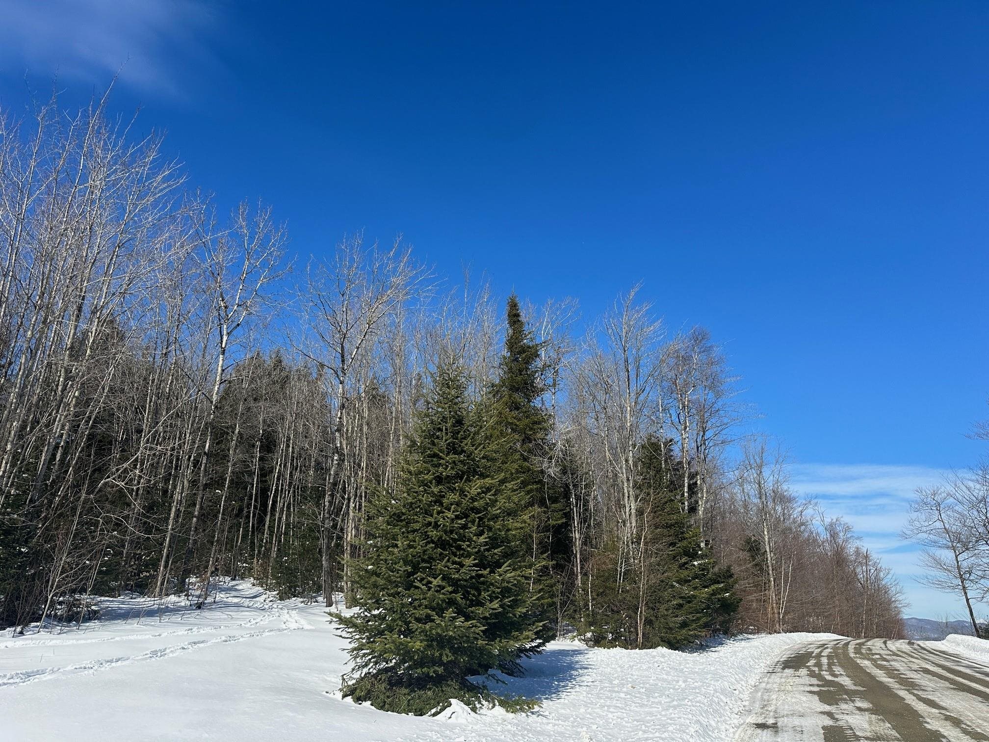 220 Deerfield Hls Road Morristown, VT 05661 - Photo 1 of 17 Gallery Image 1