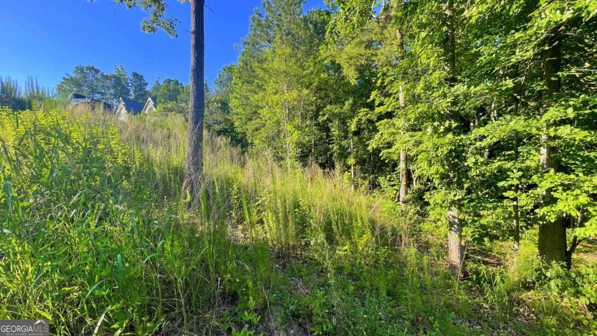 59 Observation Court Dallas, GA 30132 - Photo 1 of 1