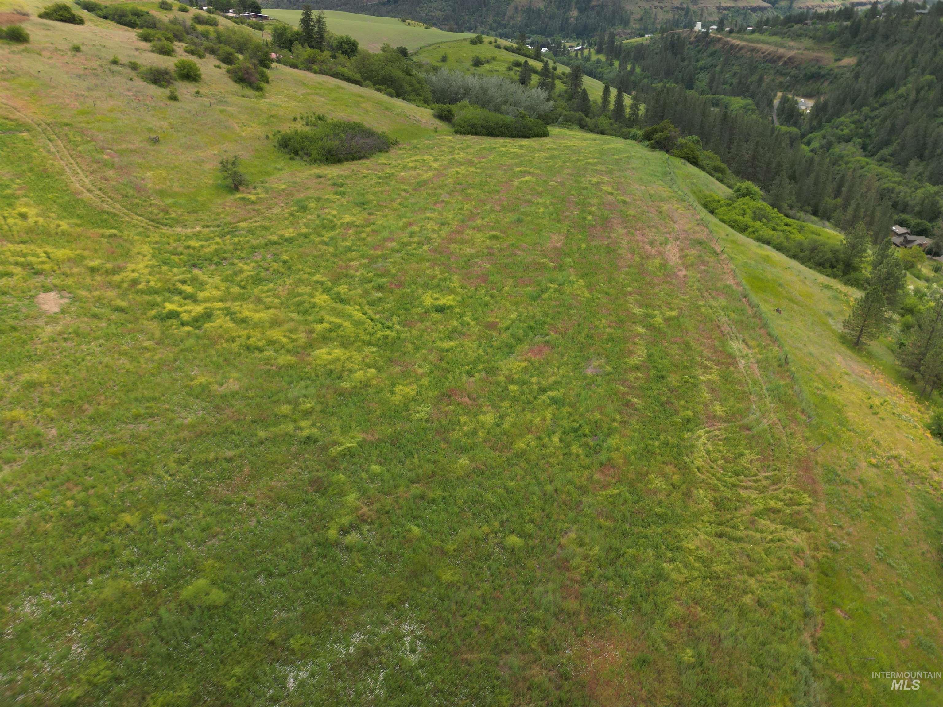 0 American Ridge Road Kendrick, ID 83537 - Photo 3 of 12
