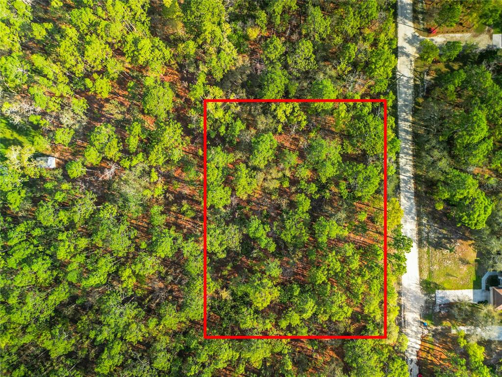 17487 Macy Road Weeki Wachee, FL 34614 - Photo 1 of 1 Gallery Image 1