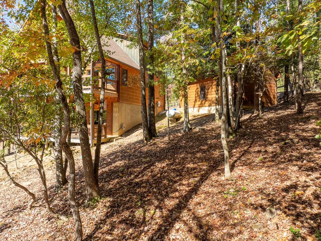 10 Cohutta Overlook Lane Blue Ridge, GA 30513 - Photo 50 of 64 Gallery Image 50