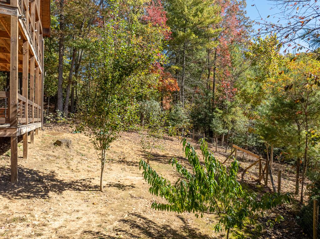 10 Cohutta Overlook Lane Blue Ridge, GA 30513 - Photo 52 of 64 Gallery Image 52