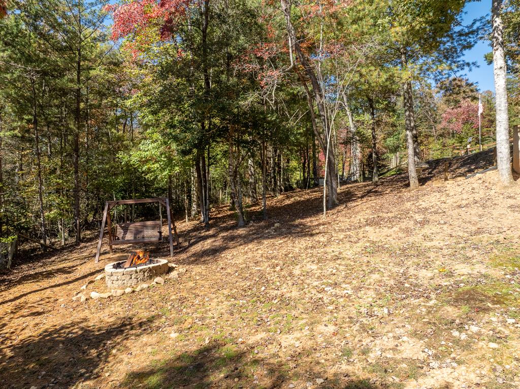 10 Cohutta Overlook Lane Blue Ridge, GA 30513 - Photo 53 of 64 Gallery Image 53