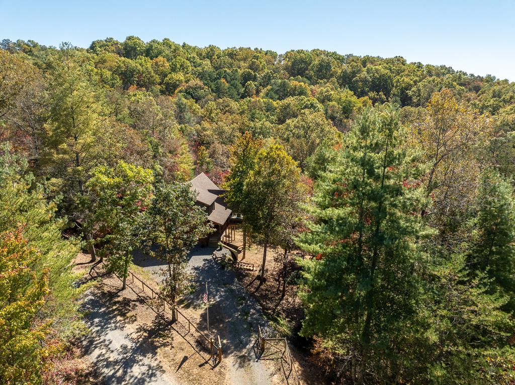 10 Cohutta Overlook Lane Blue Ridge, GA 30513 - Photo 54 of 64 Gallery Image 54