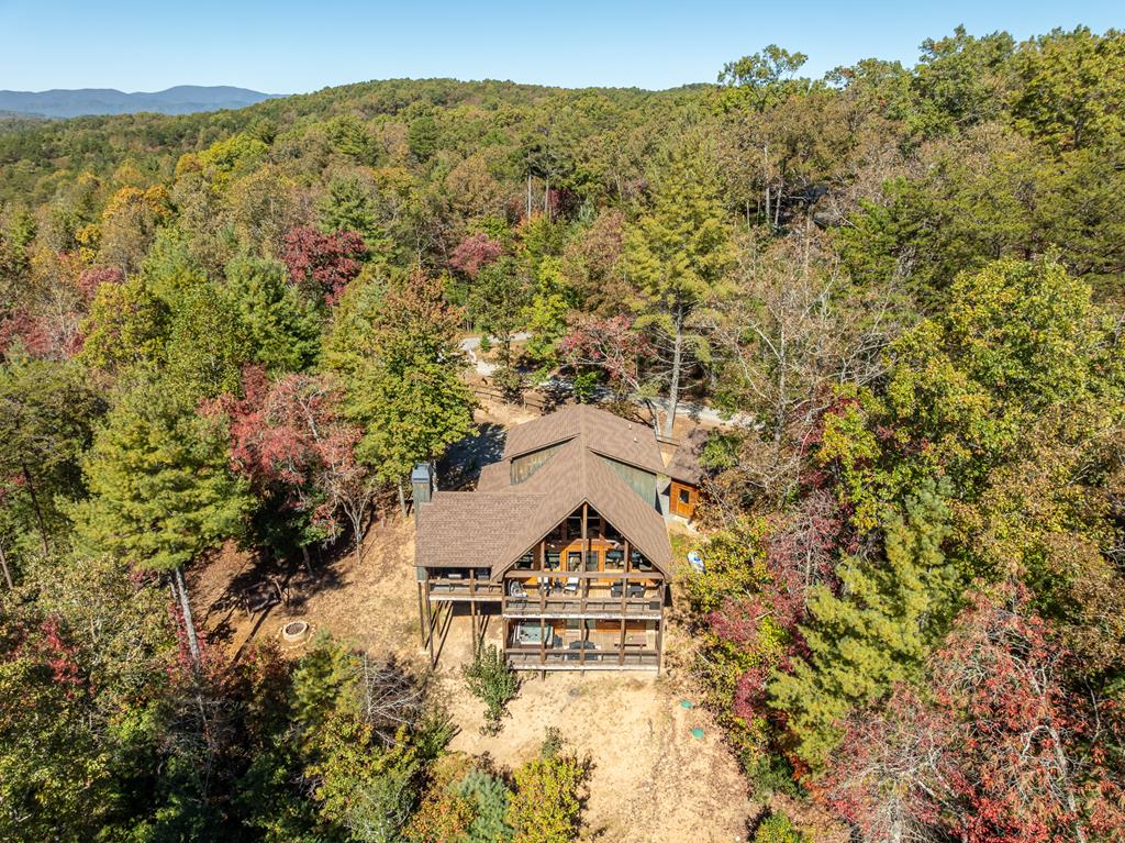 10 Cohutta Overlook Lane Blue Ridge, GA 30513 - Photo 55 of 64 Gallery Image 55