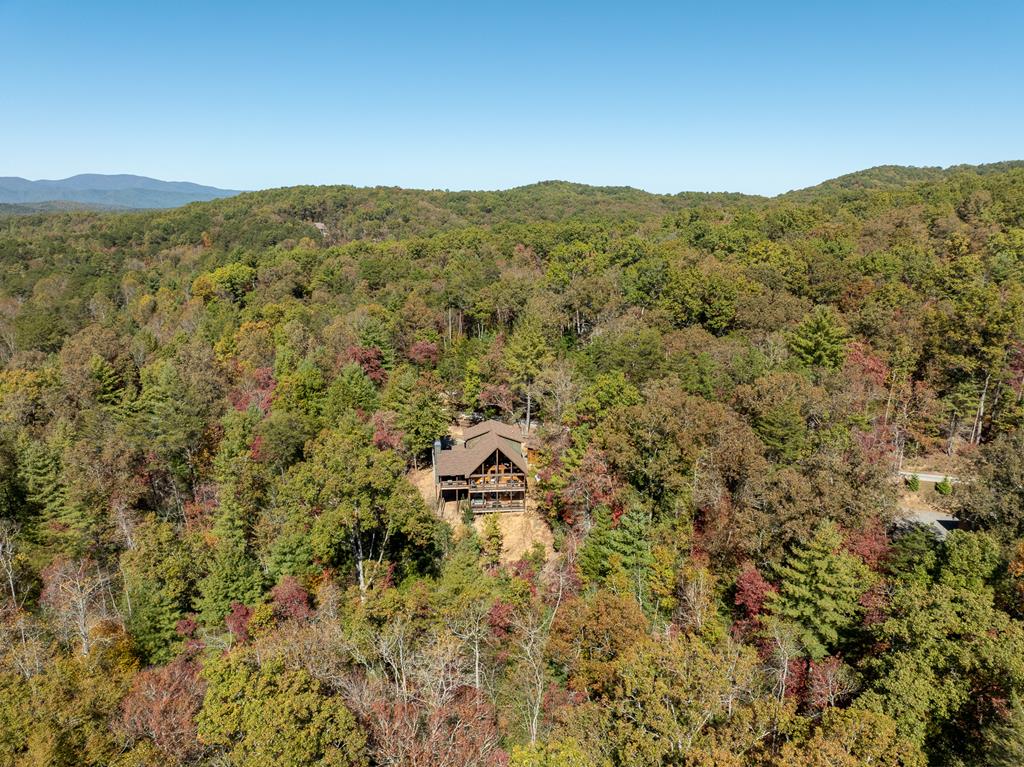 10 Cohutta Overlook Lane Blue Ridge, GA 30513 - Photo 56 of 64 Gallery Image 56