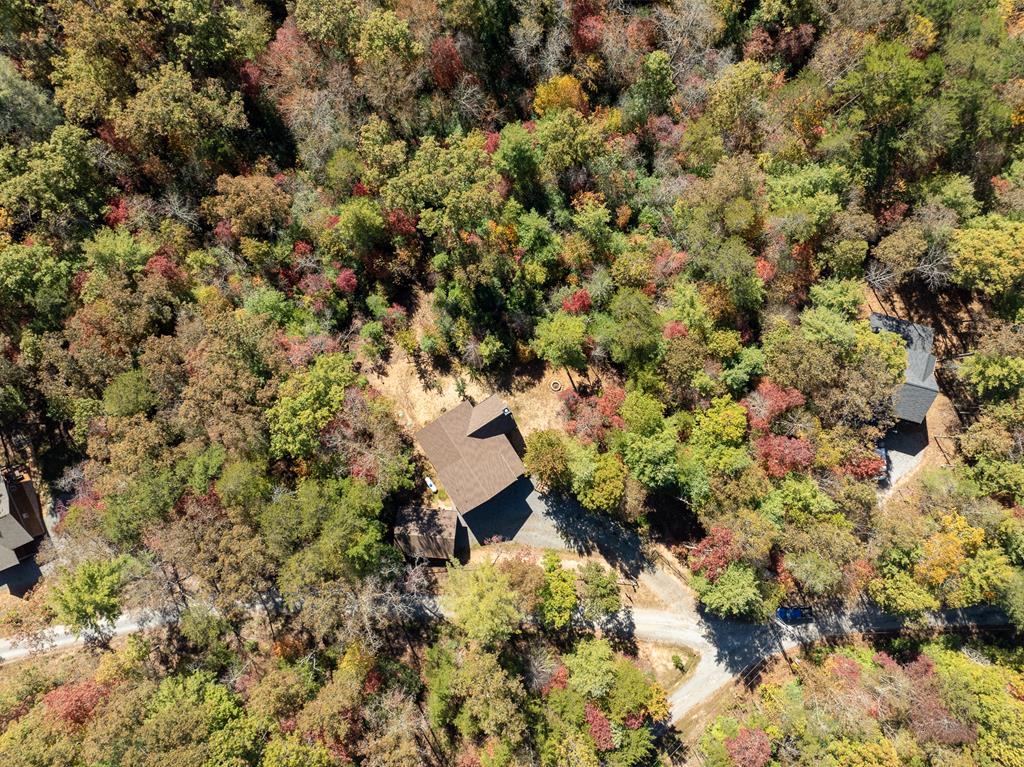 10 Cohutta Overlook Lane Blue Ridge, GA 30513 - Photo 58 of 64 Gallery Image 58