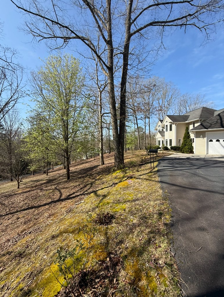 838 Peachtree Hills Road Murphy, NC 28906 - Photo 2 of 65