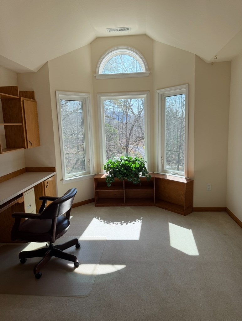 838 Peachtree Hills Road Murphy, NC 28906 - Photo 46 of 65