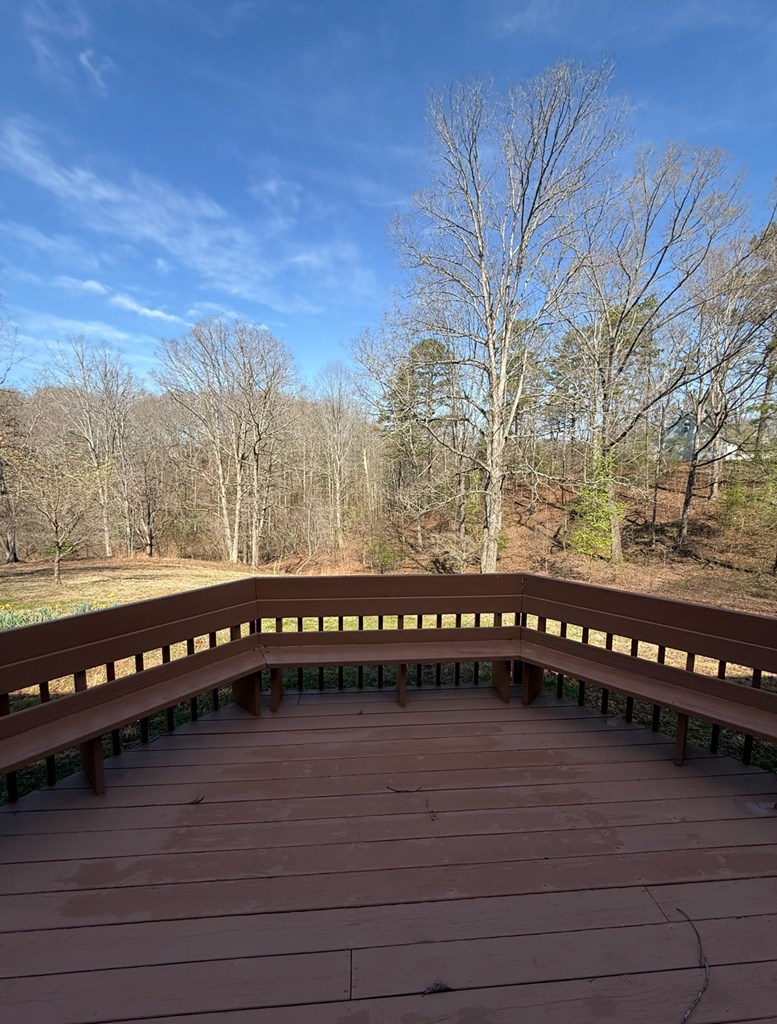 838 Peachtree Hills Road Murphy, NC 28906 - Photo 9 of 65