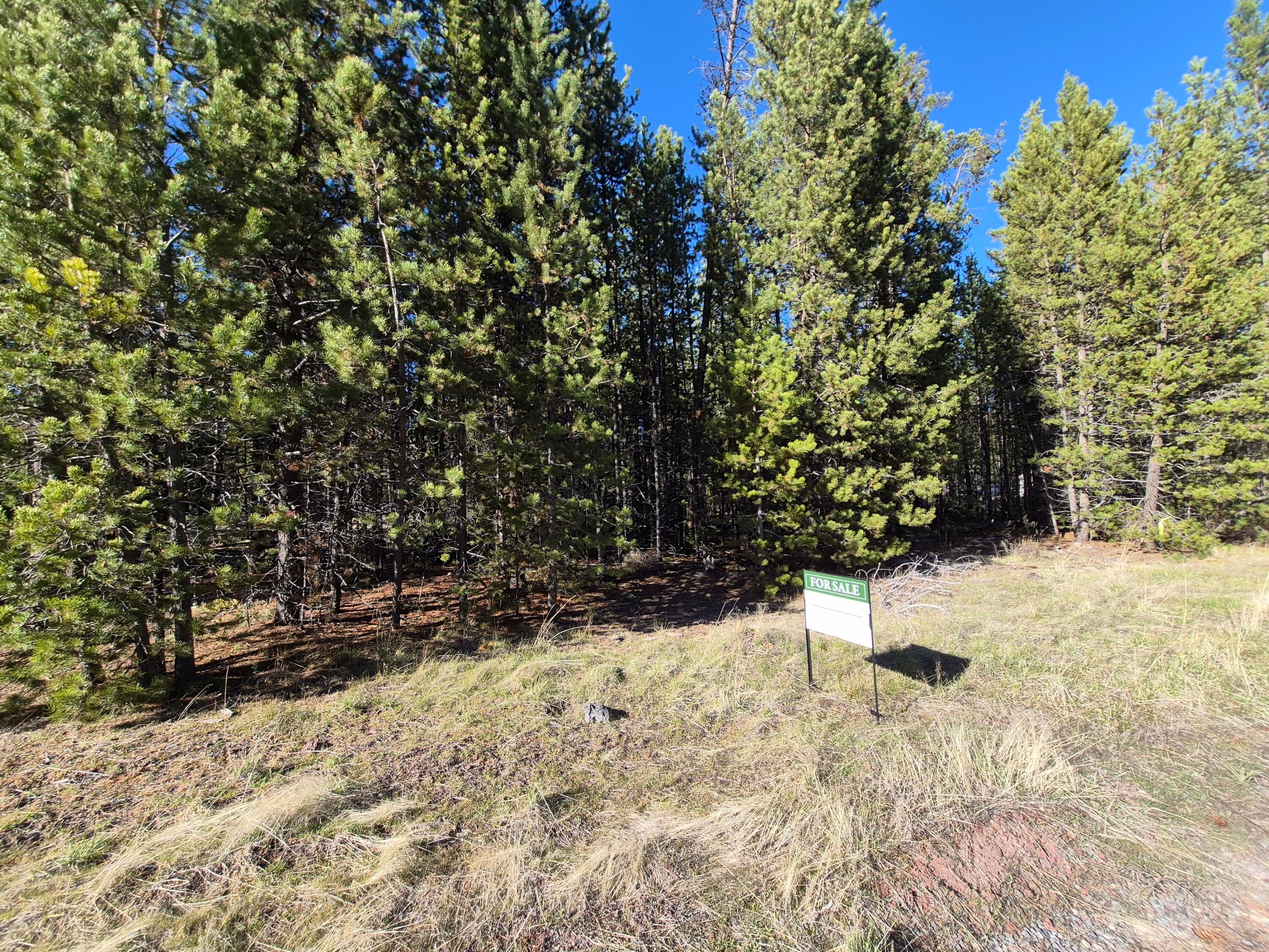 17118 Indio Road Bend, OR 97707 - Photo 1 of 2 Main
