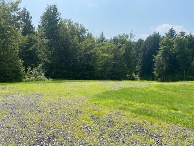 10 Kirk Meadow Road Springfield, VT 05156 - Photo 3 of 15