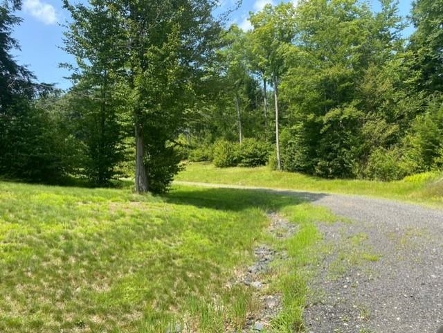 10 Kirk Meadow Road Springfield, VT 05156 - Photo 6 of 15