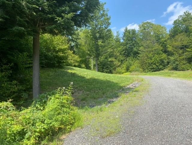 10 Kirk Meadow Road Springfield, VT 05156 - Photo 7 of 15