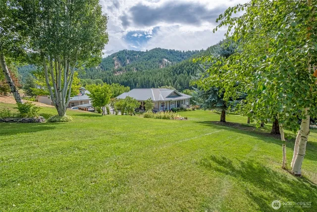 a view of a park with large trees