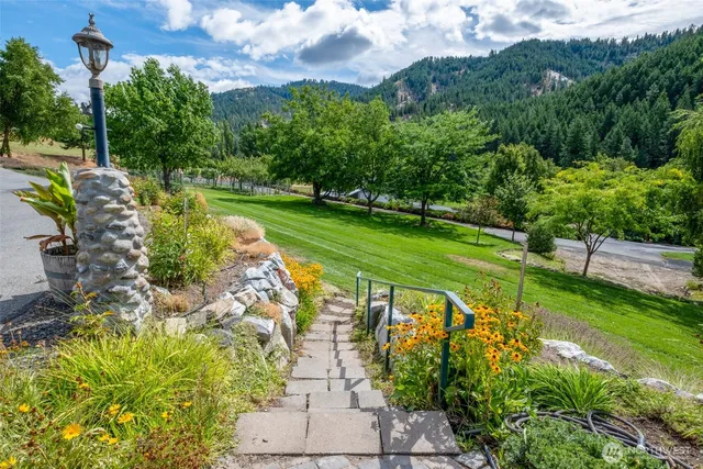 a view of a park with large trees