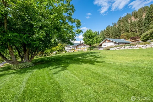 a backyard of a house with lots of green space